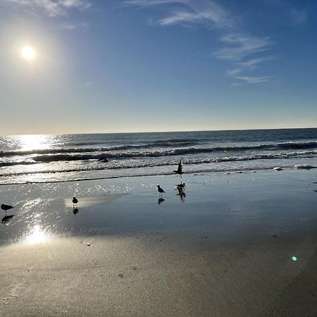 Blue Palmetto Vacation Rentals Myrtle Beach Eksteriør billede
