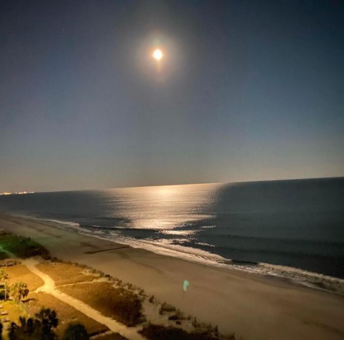 Blue Palmetto Vacation Rentals Myrtle Beach Eksteriør billede