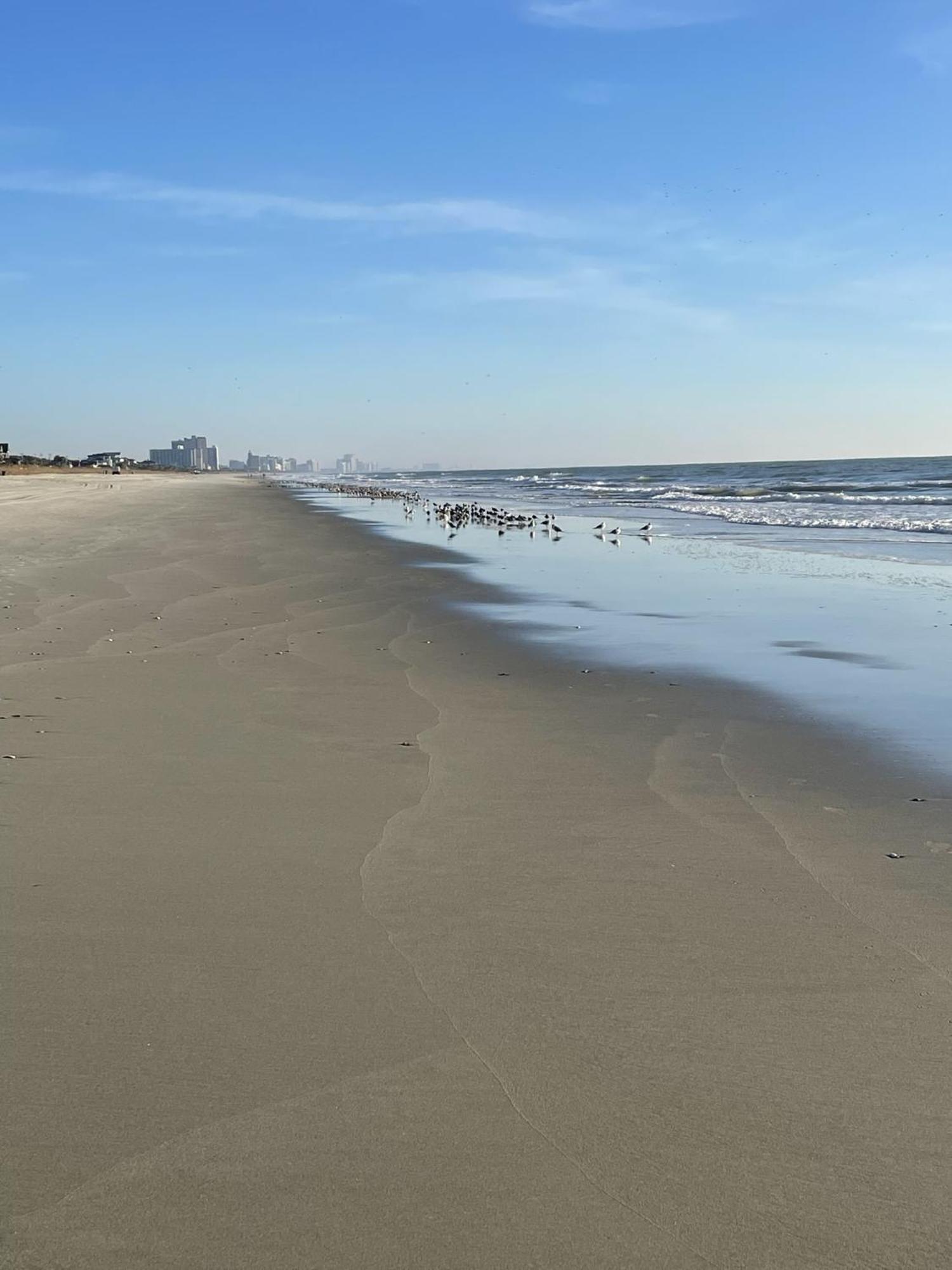 Blue Palmetto Vacation Rentals Myrtle Beach Eksteriør billede