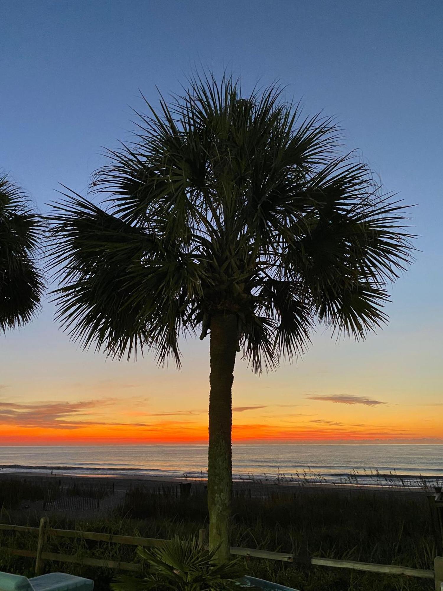 Blue Palmetto Vacation Rentals Myrtle Beach Eksteriør billede